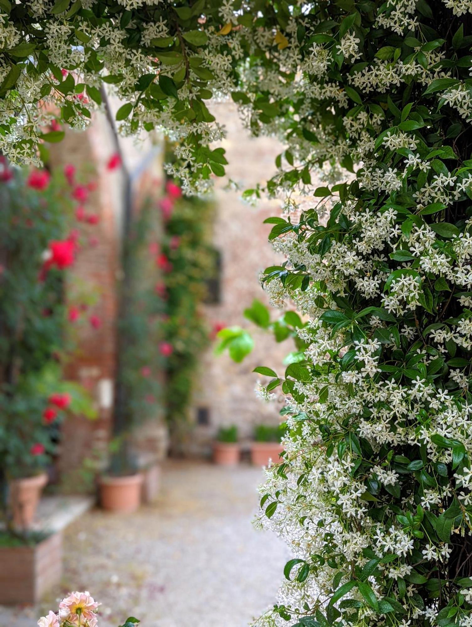 Enchanting Verona Exterior photo